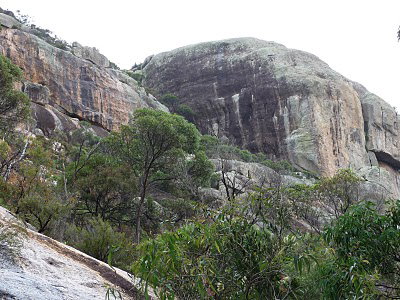 Mount Walsh National Park - Rental Cars 0