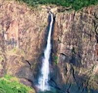 Buujan Quiinbiira Walk Wet Tropics Great Walk - Rental Cars