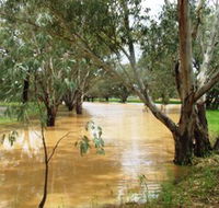 Saddliers Waterhole and Hamburg Creek