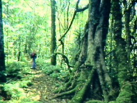 Mount Edwards QLD Rental Cars