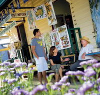 Alpha Petrified Wood - Rental Cars