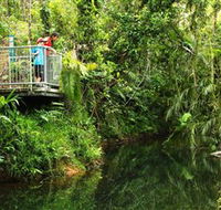 Djiru National Park - Rental Cars