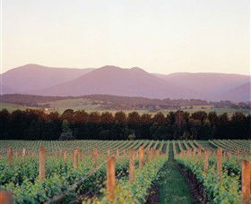 Coldstream VIC Rental Cars