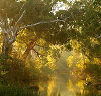 Brimbank Park - Rental Cars