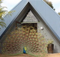 Halls Gap Zoo - Rental Cars