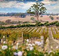 Redesdale Estate - Rental Cars