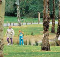 Westerfolds Park - Rental Cars