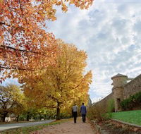 Beechworth Historic Park - Rental Cars