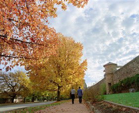 Beechworth Historic Park - Rental Cars 0