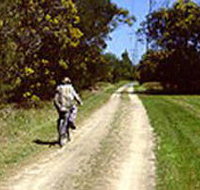 Koomba Park - Rental Cars