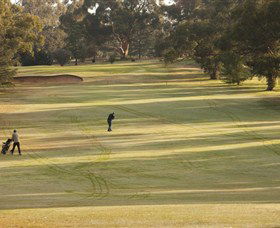 Cohuna Golf Club - Rental Cars 0