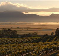 Montara Wines - Rental Cars
