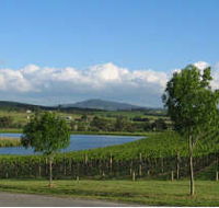 Yarrawood Estate - Rental Cars
