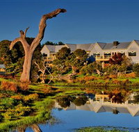The Minya Vineyard  Winery - Rental Cars