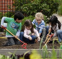 The Ian Potter Foundation Children's Garden - Rental Cars