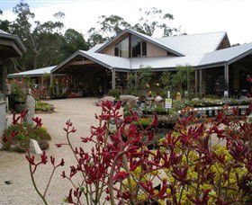 Kuranga Native Nursery And Paperbark Cafe - Rental Cars 0