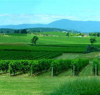 Acacia Ridge Vineyard - Rental Cars