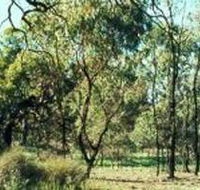 Leaghur State Park - Rental Cars