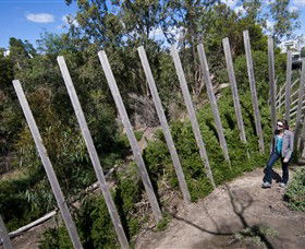 Herring Island Environmental Sculpture Park - Rental Cars 0