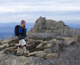 Mount Buffalo National Park - Rental Cars 0