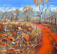 Whitehill Gallery - Rental Cars