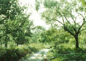 Holey Plains State Park - Rental Cars 0