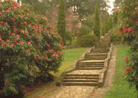 Maroondah Reservoir Park - Rental Cars 0