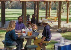 Warburton East VIC Rental Cars