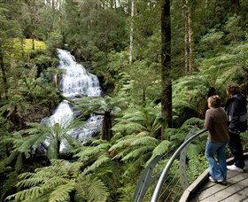 Great Otway National Park - Rental Cars 0