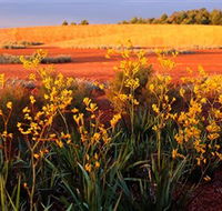 Royal Botanic Gardens Victoria Cranbourne - Rental Cars
