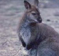 Churchill National Park - Rental Cars
