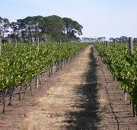 Mount Beckworth Wines - Rental Cars