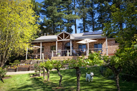 Main Ridge Estate - Rental Cars 2