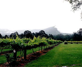 Cambewarra Estate Wines - Rental Cars 0
