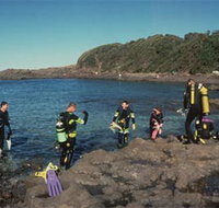 Bushrangers Bay Aquatic Reserve - Rental Cars