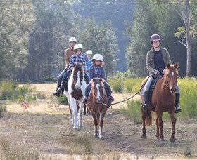 Horse Riding At Oaks Ranch And Country Club - Rental Cars 0