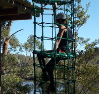 Trees Adventure Shoalhaven - Rental Cars