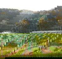 Tilba Valley Wines - Rental Cars