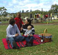Blackbutt Forest Reserve - Rental Cars