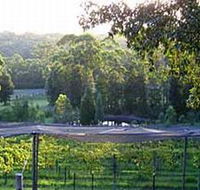 Lyrebird Ridge Organic Winery - Rental Cars