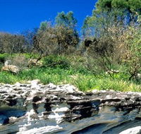 Abrahams Bosom Reserve - Rental Cars