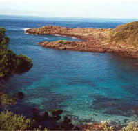 Bass Point Reserve - Rental Cars