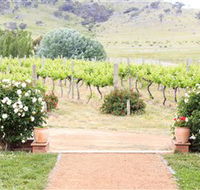 Brindabella Hills Winery - Rental Cars