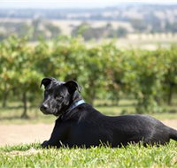 Moothi Estate Vineyard and Cellar Door