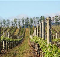 Philip Shaw Wines - Rental Cars