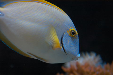 Solitary Islands Aquarium - Rental Cars 3