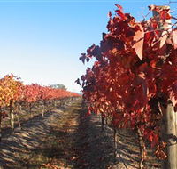 Kooyonga Creek Wines - Rental Cars