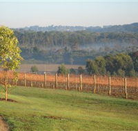 Paradigm Hill - Rental Cars