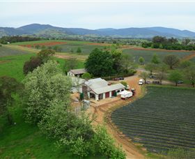 Baranduda VIC Rental Cars