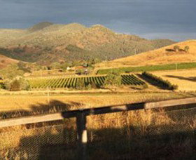 Optimiste Wines - Rental Cars 0